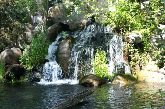 Morrison-Knudsen Nature Center